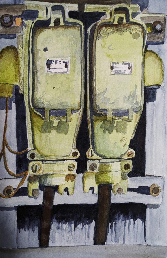 pxl 20240111 055356991