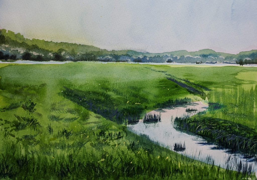 pxl 20240707 051519300