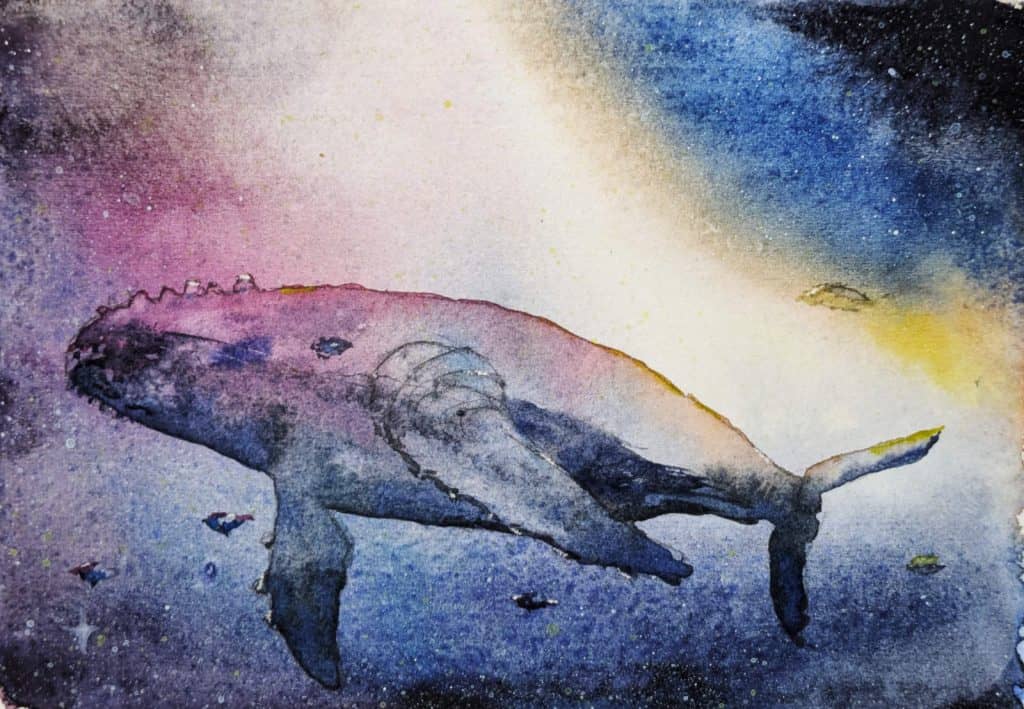 pxl 20241009 184214761