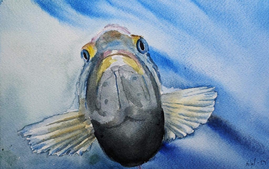 pxl 20241220 051213804