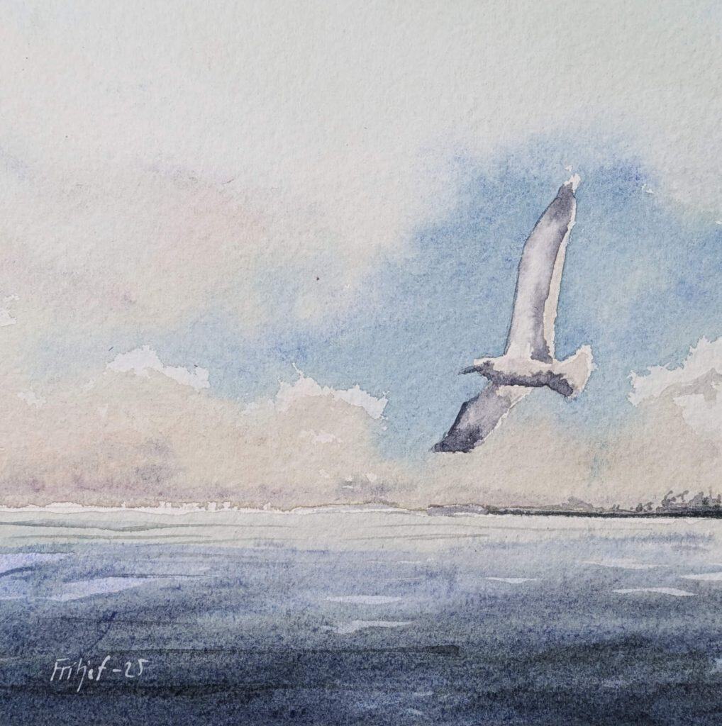 pxl 20250223 093912135