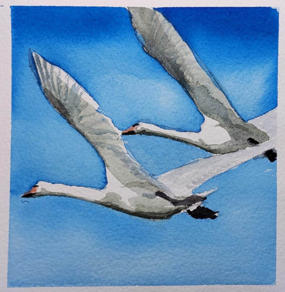 pxl 20250312 185813706