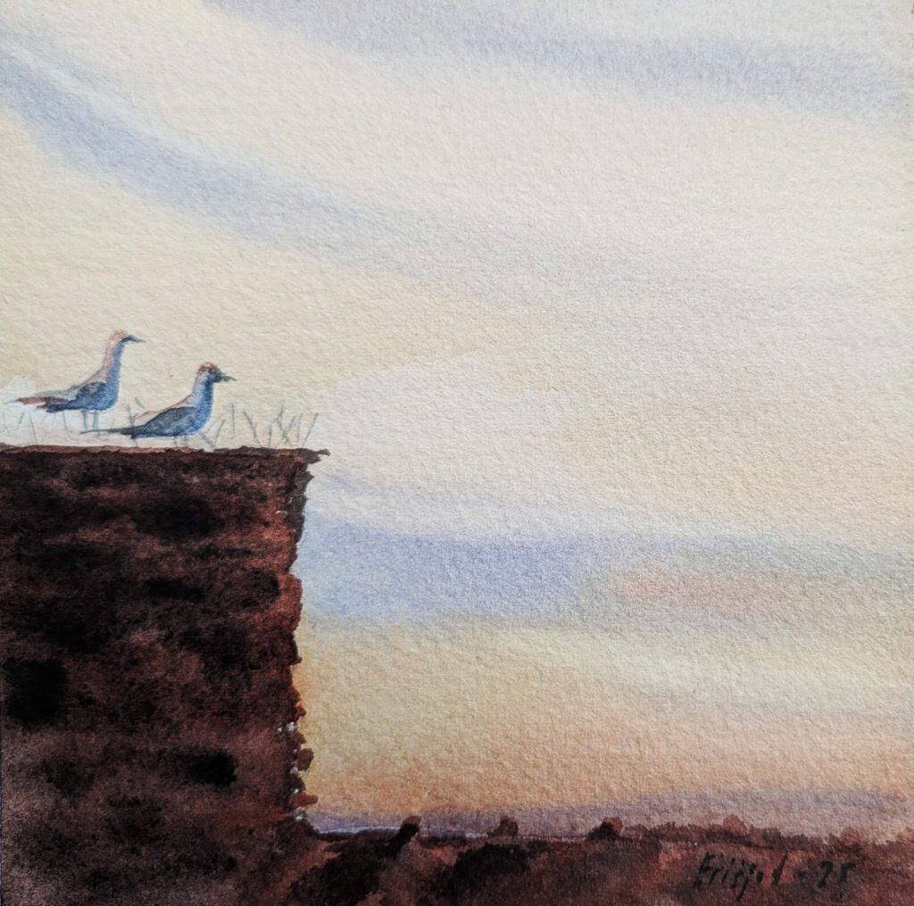 pxl 20250405 092523781.mp~2