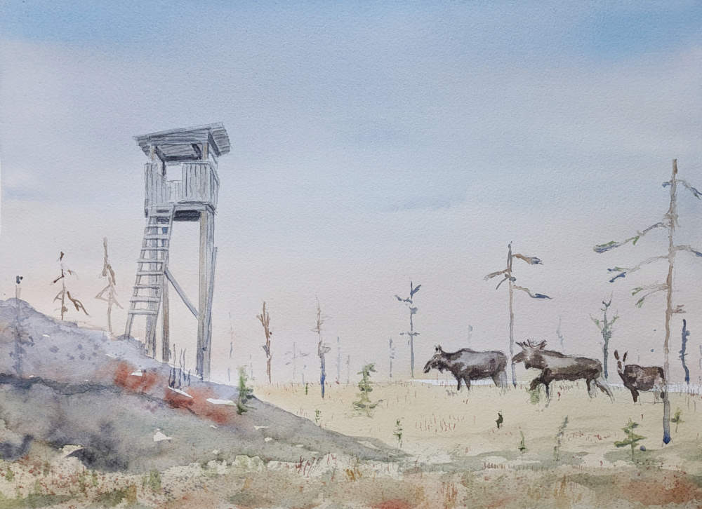 Welcome to Fritjof´s watercolours PXL 20260314 145351635